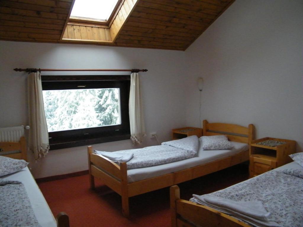 Balu Pension Maroshévíz Szoba fotó